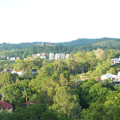 bardon
