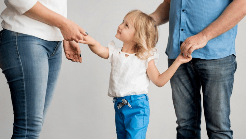 parent need a child custody lawyer